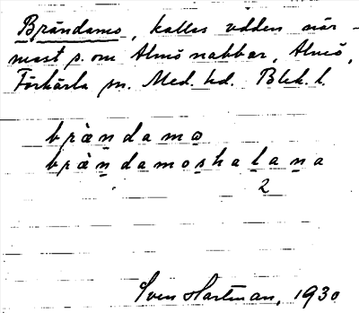 Bild på arkivkortet för arkivposten Brändamo