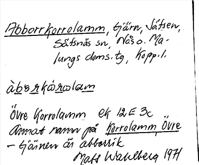 Bild på arkivkortet för arkivposten Abborrkorrolamm