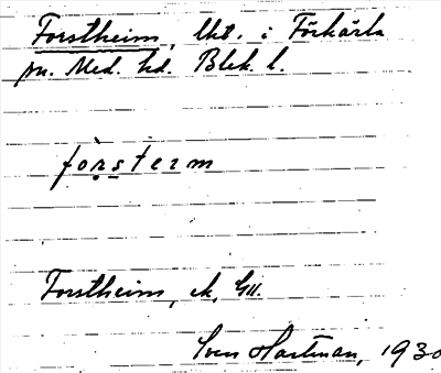 Bild på arkivkortet för arkivposten Forstheim