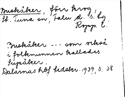 Bild på arkivkortet för arkivposten Buskåker