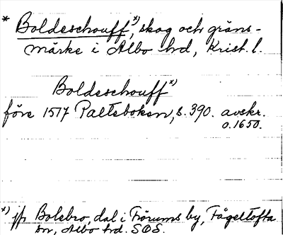 Bild på arkivkortet för arkivposten *Boldeschouff