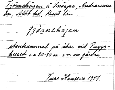 Bild på arkivkortet för arkivposten Tjörnehögen