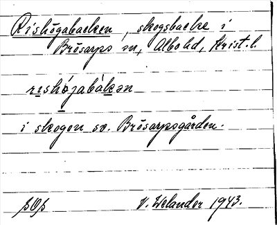 Bild på arkivkortet för arkivposten Rishögabacken