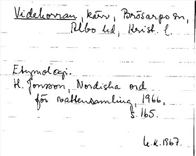 Bild på arkivkortet för arkivposten Videkottan