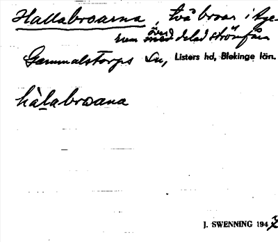 Bild på arkivkortet för arkivposten Hallabroarna