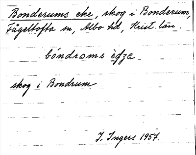 Bild på arkivkortet för arkivposten Bonderums eke