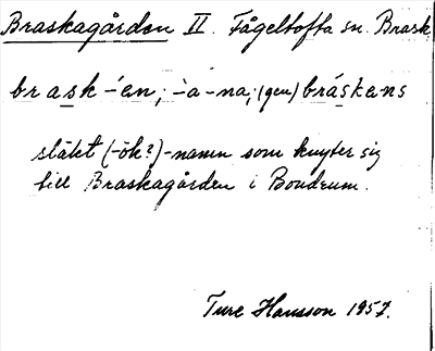 Bild på arkivkortet för arkivposten Braskagården