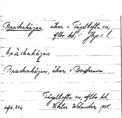 Bild på arkivkortet för arkivposten Braskahäjan