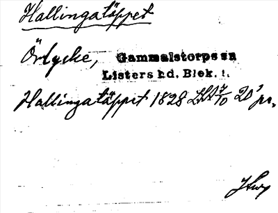 Bild på arkivkortet för arkivposten Hallingatäppet