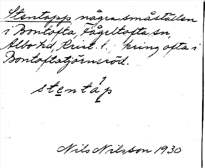 Bild på arkivkortet för arkivposten Stentapp