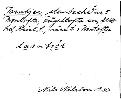 Bild på arkivkortet för arkivposten Tornbjer
