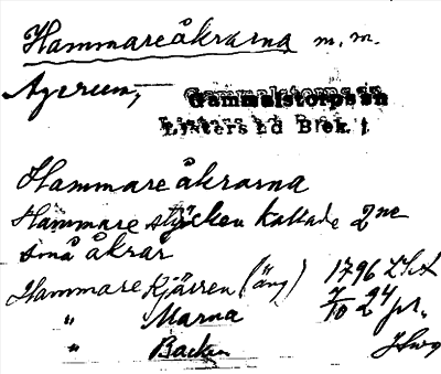 Bild på arkivkortet för arkivposten Hammareåkrarna