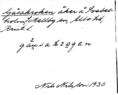 Bild på arkivkortet för arkivposten Gåsakroken