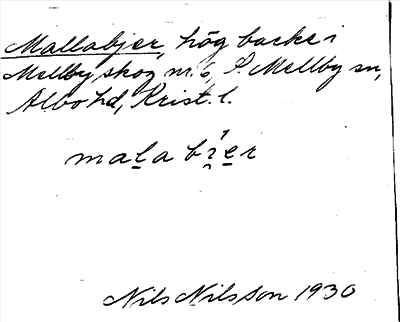 Bild på arkivkortet för arkivposten Mallabjer
