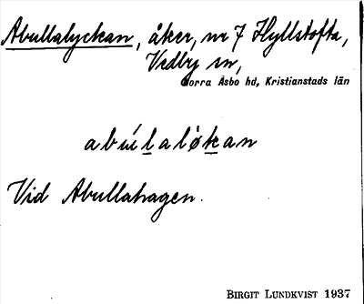 Bild på arkivkortet för arkivposten Abullalyckan