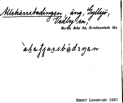 Bild på arkivkortet för arkivposten Allekärrsbadingen