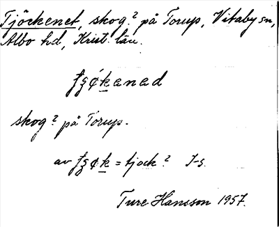 Bild på arkivkortet för arkivposten Tjöckenet