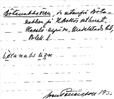 Bild på arkivkortet för arkivposten Bötanabbsören