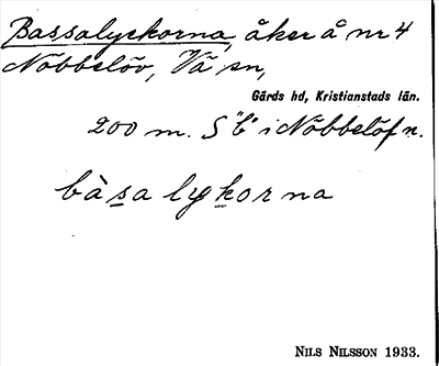 Bild på arkivkortet för arkivposten Bassalyckorna