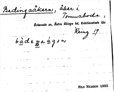 Bild på arkivkortet för arkivposten Badingaåkern
