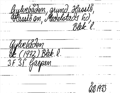 Bild på arkivkortet för arkivposten Gylvebåden