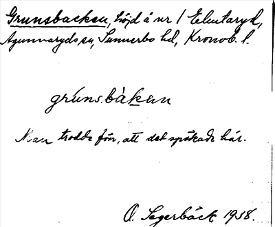 Bild på arkivkortet för arkivposten Grunsbacken