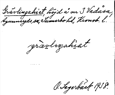 Bild på arkivkortet för arkivposten Grävlingahiet