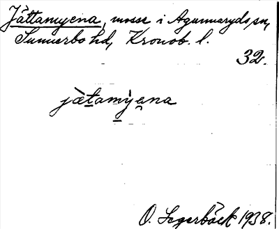 Bild på arkivkortet för arkivposten Jättamyena