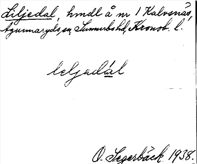 Bild på arkivkortet för arkivposten Liljedal