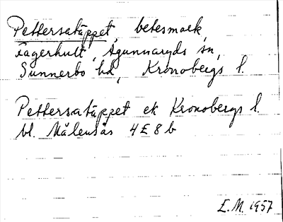 Bild på arkivkortet för arkivposten Pettersatäppet