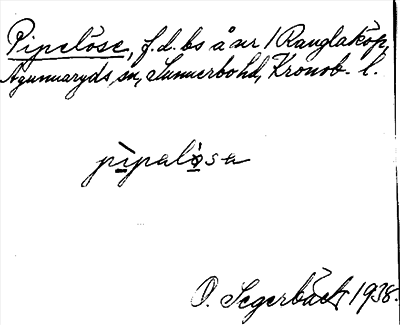 Bild på arkivkortet för arkivposten Pipelöse