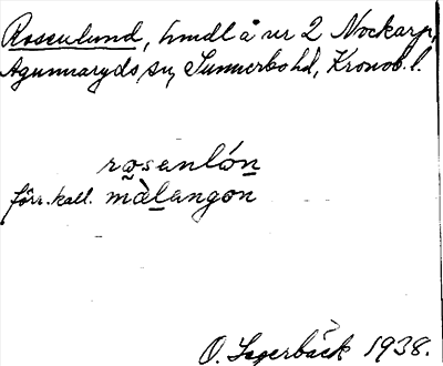 Bild på arkivkortet för arkivposten Rosenlund