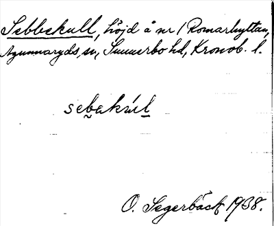 Bild på arkivkortet för arkivposten Sebbekull