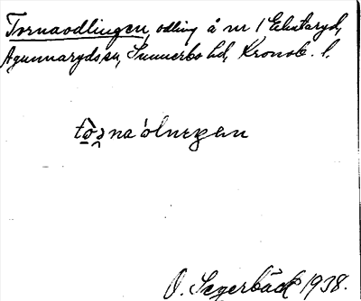 Bild på arkivkortet för arkivposten Tornaodlingen