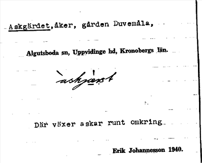 Bild på arkivkortet för arkivposten Askgärdet
