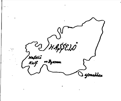 Bild på baksidan av arkivkortet för arkivposten Hasslökalv