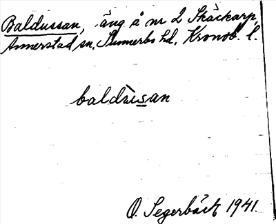 Bild på arkivkortet för arkivposten Baldussan