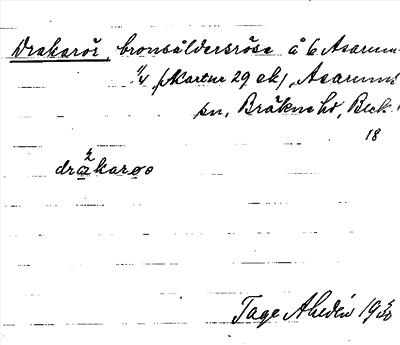 Bild på arkivkortet för arkivposten Drakarör