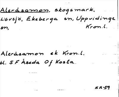 Bild på arkivkortet för arkivposten Aleråsamon
