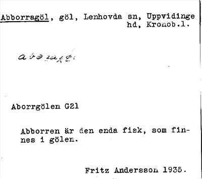 Bild på arkivkortet för arkivposten Abborragöl
