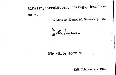 Bild på arkivkortet för arkivposten Alråsen