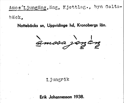 Bild på arkivkortet för arkivposten Amo´s Ljungäng