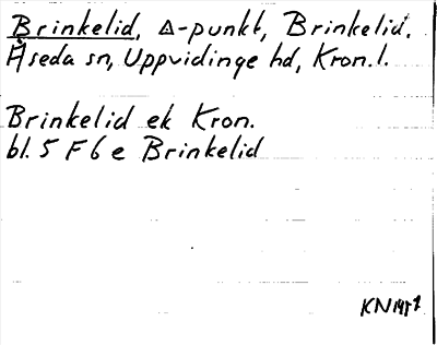 Bild på arkivkortet för arkivposten Brinkelid