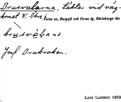 Bild på arkivkortet för arkivposten Brusvalarna
