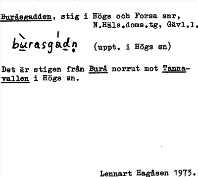 Bild på arkivkortet för arkivposten Buråsgadden