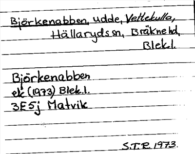 Bild på arkivkortet för arkivposten Björkenabben