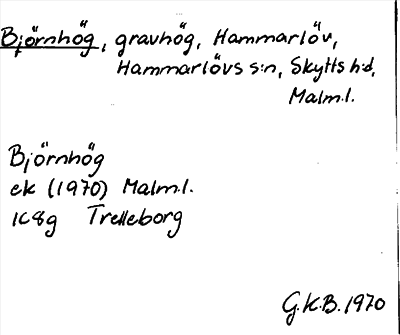Bild på arkivkortet för arkivposten Björnhög