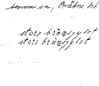 Bild på arkivkortet för arkivposten Brunnsjylet, Stora