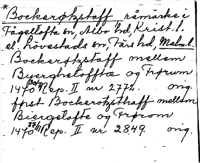 Bild på arkivkortet för arkivposten *Bockerøtzstaff