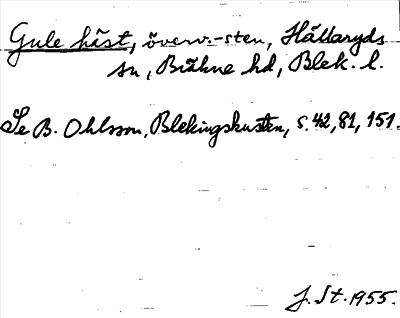 Bild på arkivkortet för arkivposten Gule häst